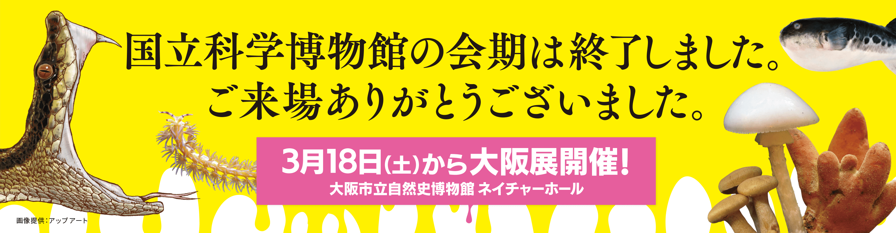 国立科学博物館の会期は終了しました。ご来場ありがとうございました。[3月18日（土）から大阪展開催！大阪市立自然史博物館 ネイチャーホール]