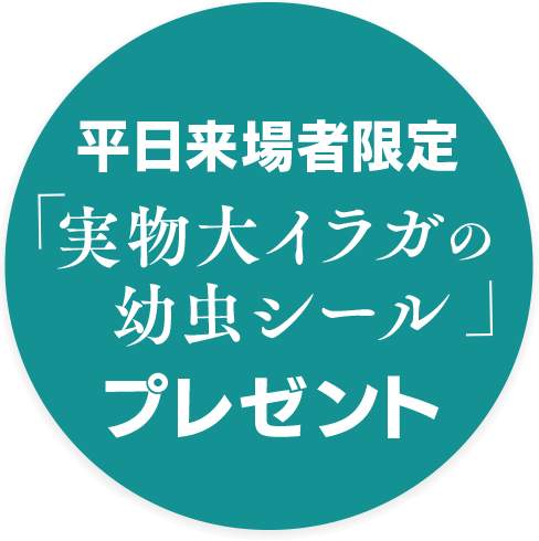 平日来場者限定「実物大イラガの幼虫シール」プレゼント