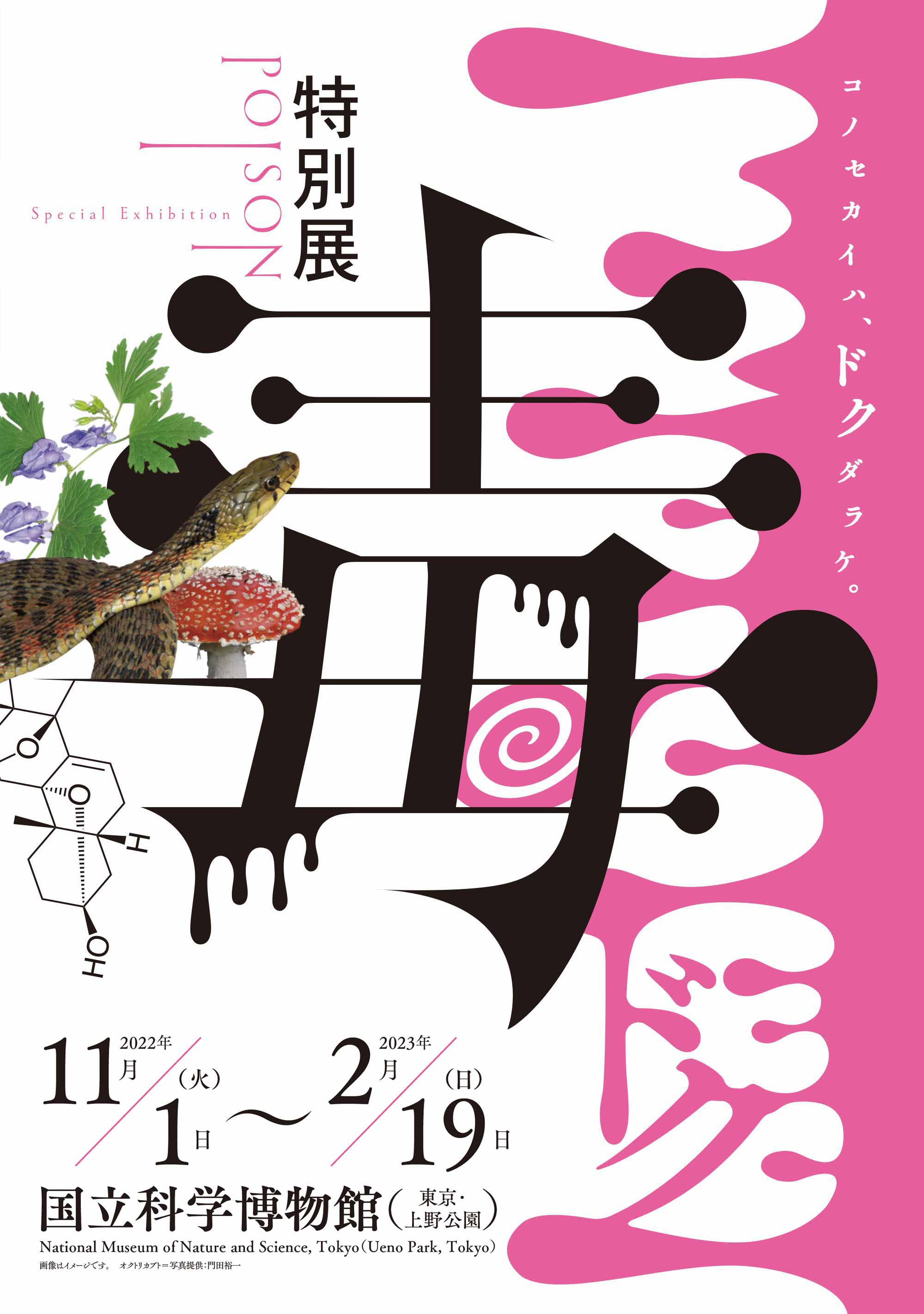 特別展「毒」Special Exhibition POIXON / コノセカイハ、ドクダラケ。2022年11月1日(火)〜2023年2月19日(日) 国立科学博物館（東京・上野公園）